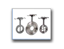 Plants: image 1 0f 4 thumb